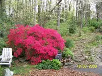 100_1298.webp