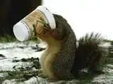 COFFEE4.webp