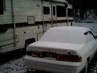sno1.webp