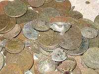 finds and call 004.webp