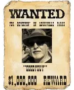 wantedposter.webp