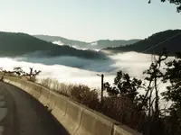 007.webp