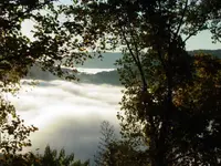 004.webp