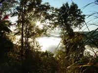005.webp