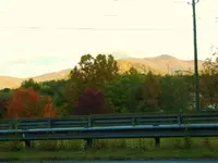 002.webp