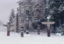 TOTAM_POLES_IN_STANLEY_PARK_BC_CANADA_IN_WINTER.webp