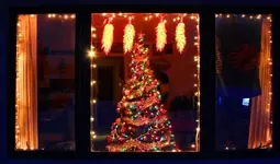 tree1.webp