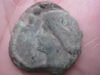 detecting finds, Christmas Tree, Dec 09 010.webp