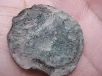 detecting finds, Christmas Tree, Dec 09 011.webp