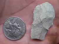 detecting finds, Christmas Tree, Dec 09 014.webp