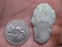 detecting finds, Christmas Tree, Dec 09 015.webp