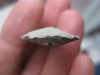 detecting finds, Christmas Tree, Dec 09 016.webp