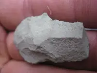 detecting finds, Christmas Tree, Dec 09 017.webp