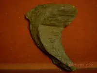 DSCN0747.webp