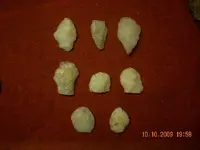 DSCN0866.webp