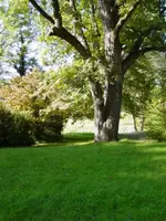 024.webp