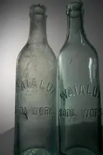 16.webp