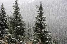 a-basin1.webp