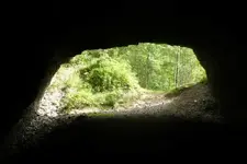1259233665.webp