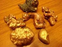 WisconsinNuggets (2).webp