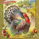 thanksturkey.webp