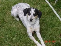 Molly 2007.webp