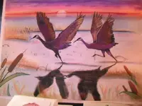 DSCF0116.webp