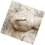 Carving.webp