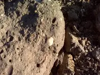 outcrop.webp