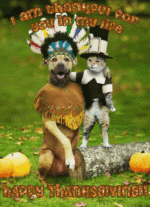 Thankful-for-you-1.gif