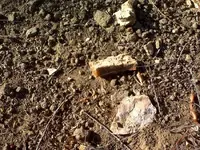all around outcrop.webp