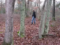 Huntin next to depressions.webp Huntin next to depressions.webp