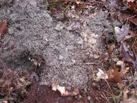 Copper in the hole.webp Copper in the hole.webp