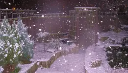 snow 003.webp