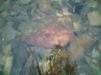 !cid__1025091130.webp