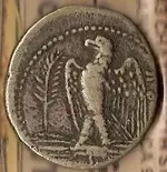 ancient silver back.webp
