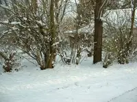 Picture 010.webp