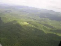 Chatt_Natl_Forrest.webp