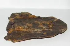 PadlockBack.webp