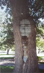 bricksintree.webp
