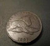 eagle.webp