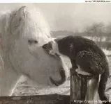 True friendship.webp