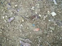 11_09_09.webp