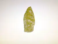 isyouaarruhhead2.webp