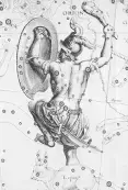 avatar_50729.webp