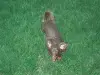 avatar_5061.webp