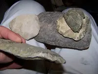 100_2421.webp