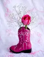 ist2_5890568-little-cowgirl-rose.webp