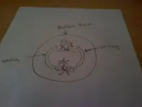 0127001324button back eagle.webp