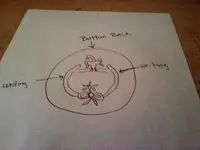 0127001324button back eagle.webp